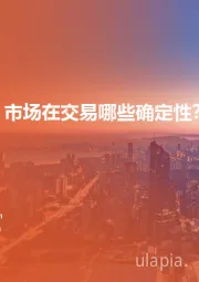 策略动态跟踪:市场在交易哪些确定性?