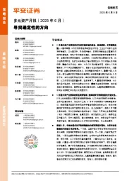 多元资产月报(2025年6月):寻找确定性的方向
