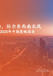 A股市场2025年中期策略报告：千磨万击还坚劲，任尔东西南北风