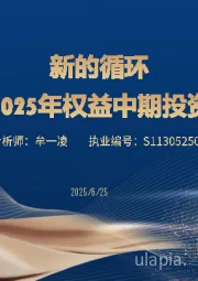 2025年权益中期投资策略：新的循环