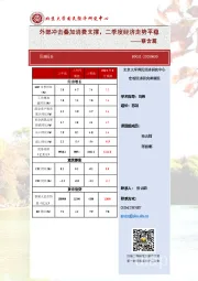 外部冲击叠加消费支撑，二季度经济走势平稳