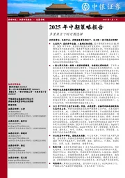 2025年中期策略报告：多重角力下的突围选择