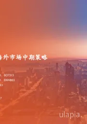 2025年海外市场中期策略：寻找确定性之锚