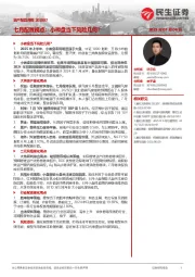 资产配置月报：七月配置视点：小微盘当下风险几何？