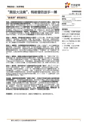 “新秩序”研究系列三：“美丽大法案”：特朗普的放手一搏