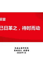 2025年中期策略展望：己日革之，待时而动