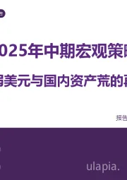 2025年中期宏观策略：海外弱美元与国内资产荒的再平衡