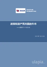 2025年中期策略：政策和资产荒共振的牛市