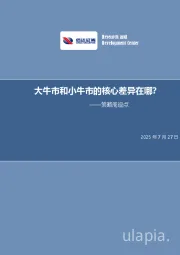 策略周观点：大牛市和小牛市的核心差异在哪？