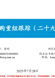 并购重组跟踪（二十九）