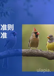 进一步完善可持续核算准则理事会的标准：行业规定有何变化？
