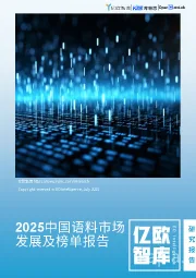 2025中国语料市场发展及榜单报告