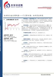 流动性与仓位周观察——7月第4期：杠杆资金新高