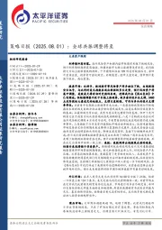 策略日报：全球共振调整将至