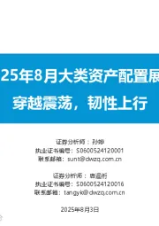 2025年8月大类资产配置展望：穿越震荡，韧性上行