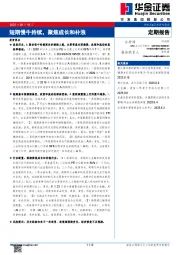 短期慢牛持续，聚焦成长和补涨