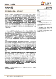 策略专题：牛市若出现小平台，如何应对？