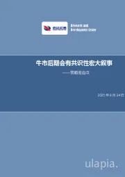 策略周观点：牛市后期会有共识性宏大叙事