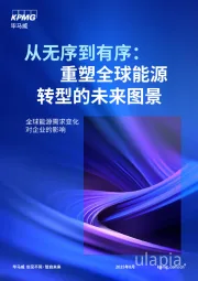 从无序到有序：重塑全球能源转型的未来图景