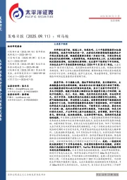 策略日报：回马枪