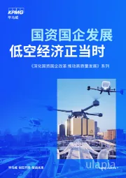 国资国企发展低空经济正当时：《深化国资国企改革推动高质量发展》系列