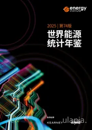 世界能源统计年鉴2025第74版