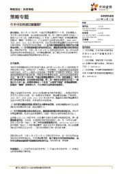 策略专题：牛市中如何度过颠簸期？