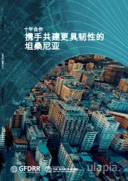 十年合作：携手共建更具韧性的坦桑尼亚