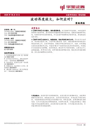 策略周报：波动再度放大，如何应对？