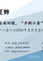 中小盘行业2026年度投资策略：网下打新全面回暖，“并购六条”成效显著